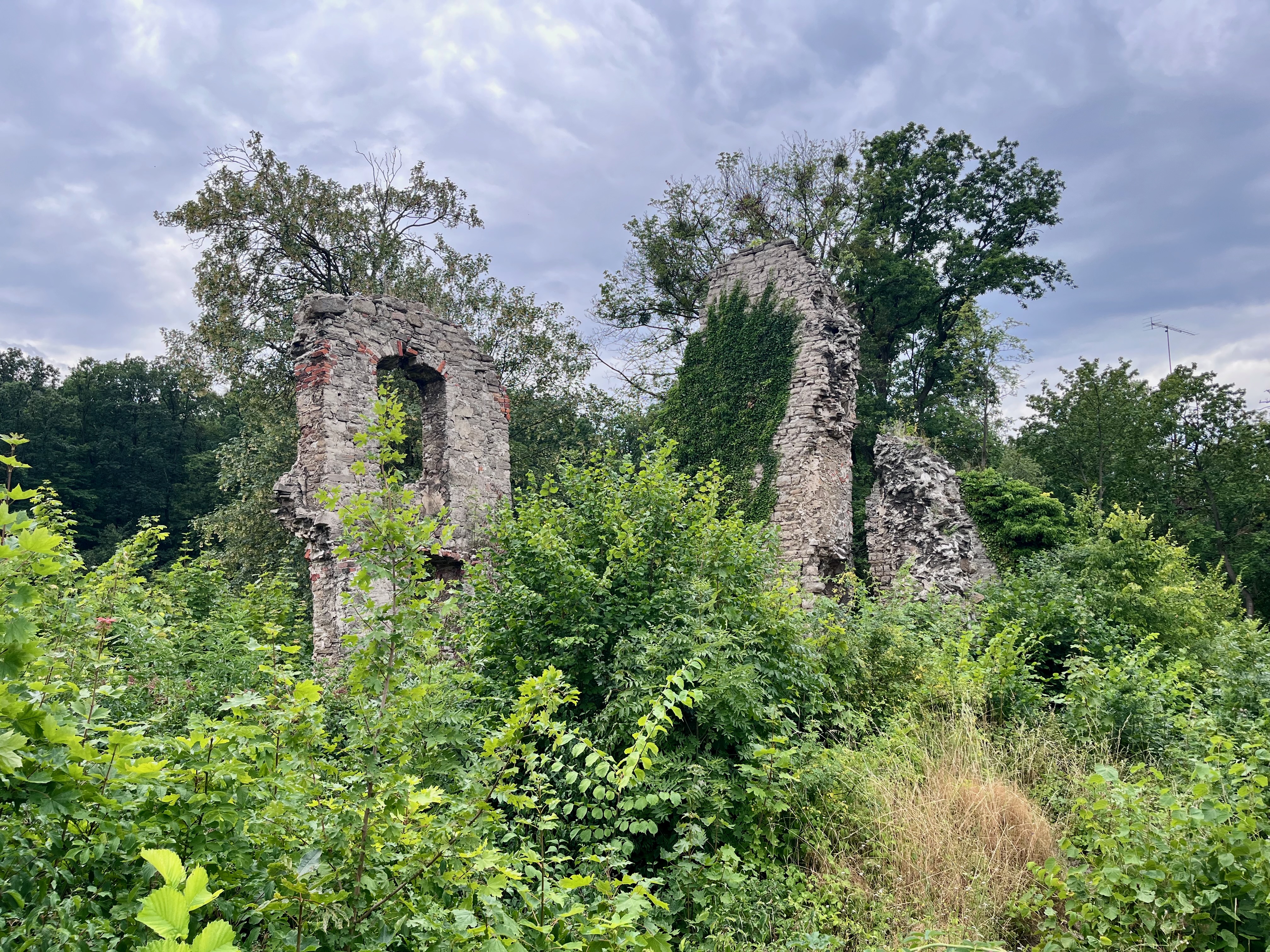 Mauerreste der Stecklenburg